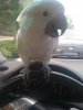 Random iphone pics and vids 034.jpg