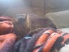 IMG_20110412_140453.jpg
