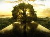 the-tree-of-life-hd_75229-1600x1200.jpg