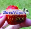Boca Vapes G-Spot.jpg