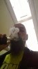 Vapaholic2.jpg