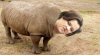 White-Rhino-Australia.jpg