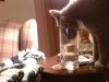 IMG00050-20100602-2101.jpg
