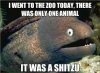 images.jpg