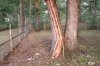 lightning strike sept 19, 2013 004.jpg