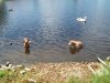 100_0210.jpg
