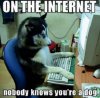 internet dog.jpg