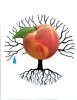 LOGO FINAL PeachTree .jpg