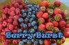 BerryBurst.jpg