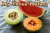 my 3 melons1.jpg