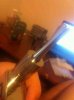 ImageUploadedByTapatalk1380672115.953687.jpg