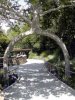 two-leg-tree.jpg