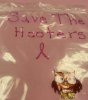 save the hooters.jpg