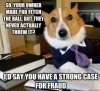 dog.jpg