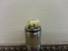 20131012_090806.jpg 20131012_090806.jpg