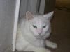 Christmas2010 016.jpg