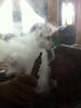 Cloud5a.jpg