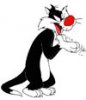 Sylvester.JPG Sylvester.JPG