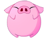 pigdance.gif
