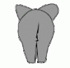 Elephant_butt.gif