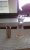 IMAG0538.jpg
