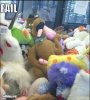 scooby.jpg