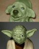 yoda-dog.jpg