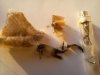 IMG_20110506_194135.jpg