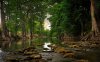 Beautiful-Trees-River.jpg