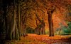 FallGetaways.jpg