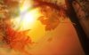 fall-wallpaper.jpg