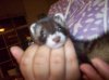 100_4950.jpg