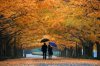 orange-fall.jpg