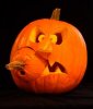 pumpkins1.jpg