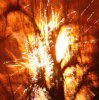 exploding tree.jpg