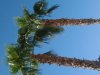 IMG_20131018_114804.jpg