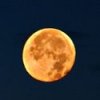 harvest_moon_0.jpg