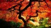 120927_4037006-120926_beautiful-fall-foliage_travelandleisure.blocks_desktop_large.jpg