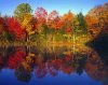 Fall4.jpg