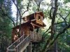 Tree House.jpg