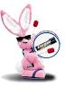 bunny.png