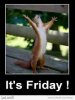 friday2.jpg