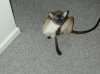 zander..mothers day 044.jpg