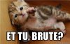 et tu brute.jpg