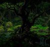 Beautiful nature gif.jpg