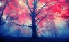tree.jpg