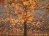 Oct 31 2013 (71).jpg