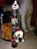 IMG_2602.jpg IMG_2602.jpg