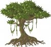 tree.jpg