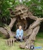 scary-trees-weird-weird-tree-funny-plant-images-pictures-bajiroo-photo-gallery-9.jpeg.jpg